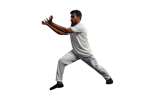 Shaolin Tiger